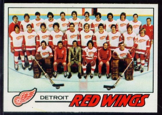 77 Detroit Red Wings Team